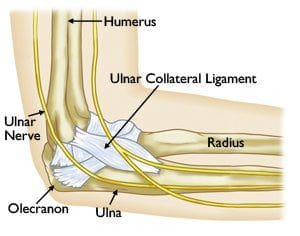 Ulnar Collateral Ligament Anatomy - El Paso Chiropractor