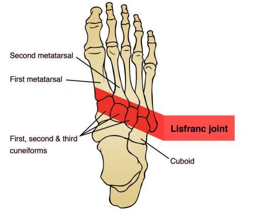 Lisfranc Joint Anatomy Diagram - El Paso Chiropractor