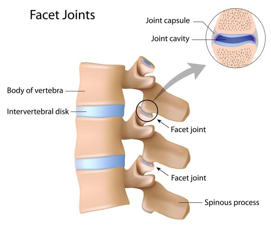 11860 Vista Del Sol, Ste. 128 Facet Joint Syndrome and Chiropractic Relief El Paso, Texas