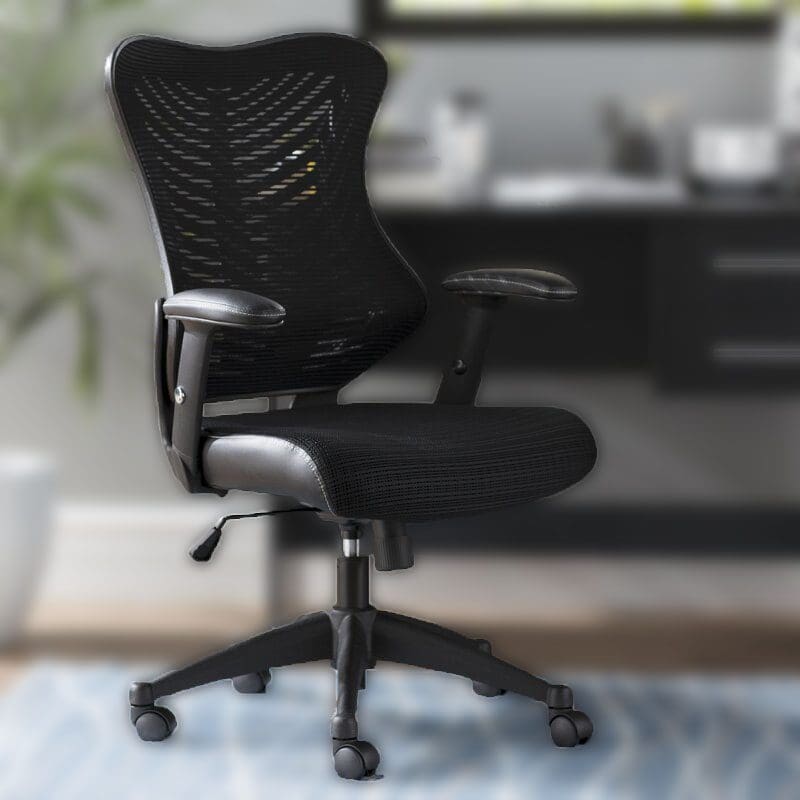 Best Office Chairs for Back Pain