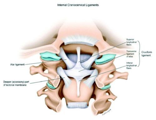 cervicogenic headaches Alar Ligament Test Diagram - El Paso Chiropractor