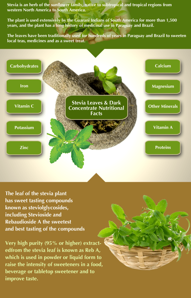 blog picture of stevia herb with infographic