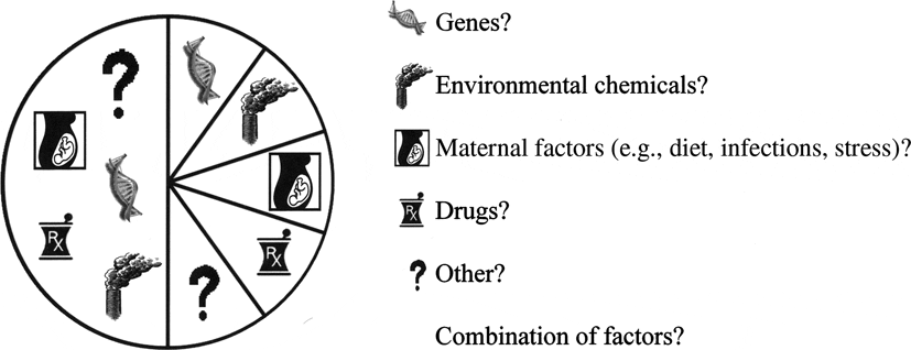 blog illustration of a wheel with various environmental risk factors e.g. chemicals, drugs, genes, maternal factors