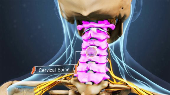 blog picture of anatomical cervical spine vertebrae