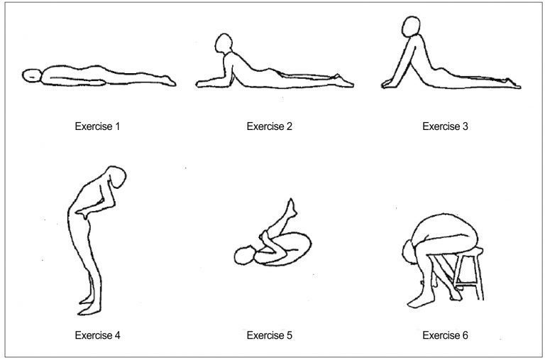 https://www.dralexjimenez.com/wp-content/uploads/2017/04/inet123-5b58.kxcdn_.comMcKenzie-Exercises-768x51-b8a2f99a04cc729ae789e34a37ad10ded148c9bc.jpg