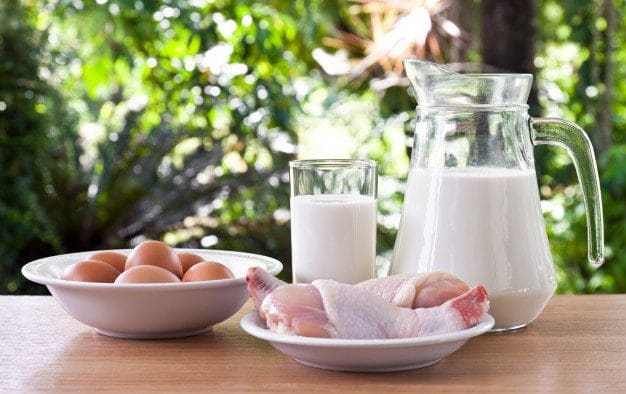 nutrition milk drink health fat healthy