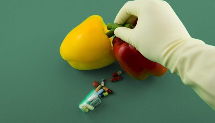 GMOs Bell peppers