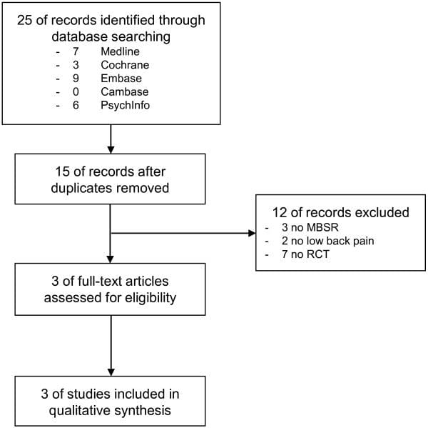 Figure 1 Flowchart of the Results of the Literature Search