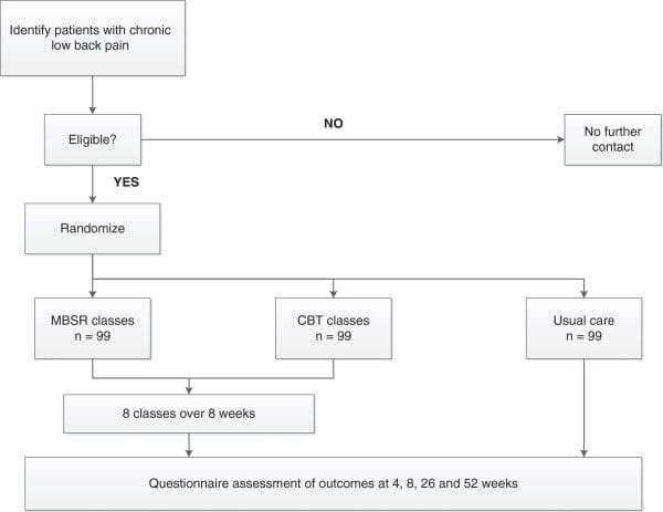 Figure 1 Flowchart of the Trial Protocol