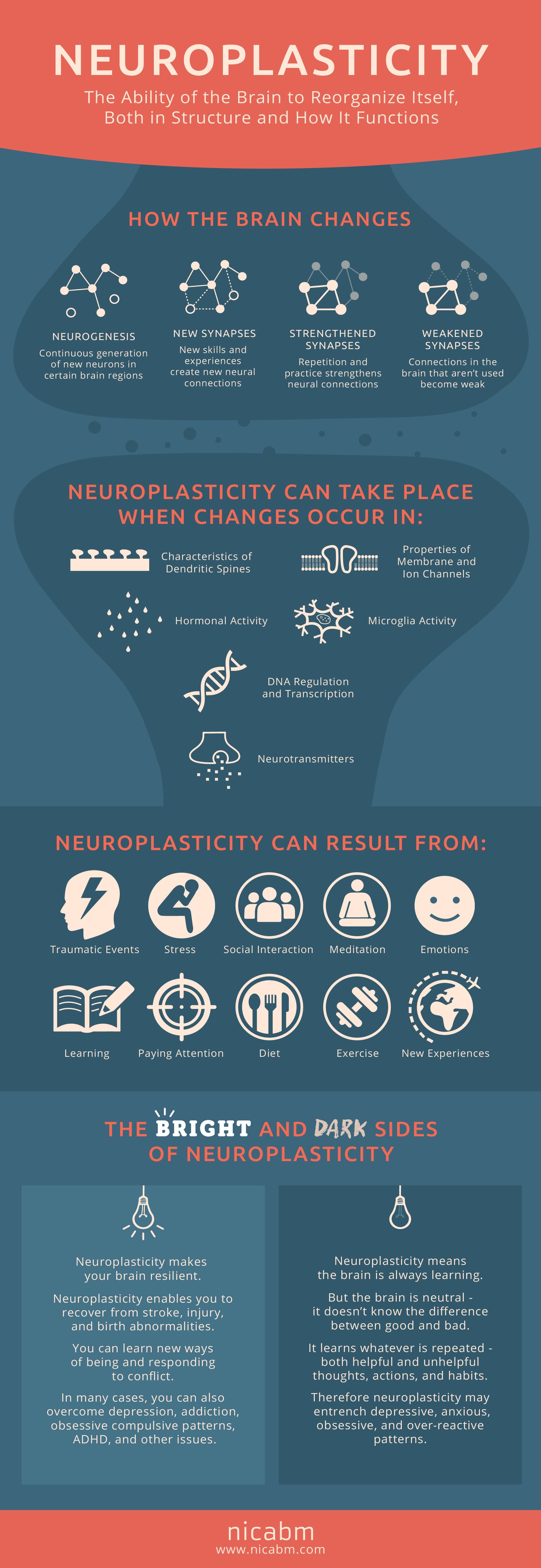 neuroembryology el paso tx.