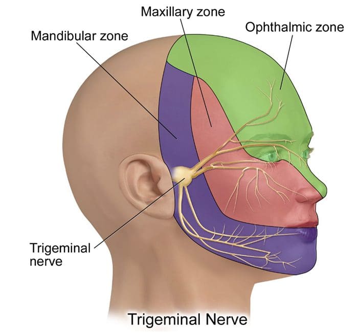 cranial el paso tx.