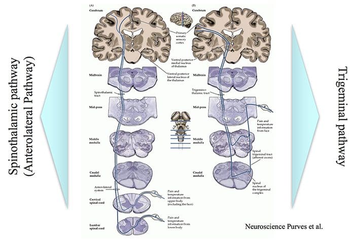 neurophysiology el paso tx.