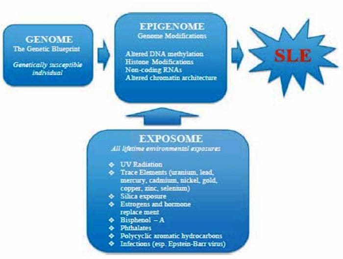 Autoimmunity el paso tx.