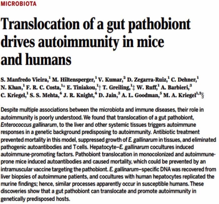 autoimmunity el paso tx.