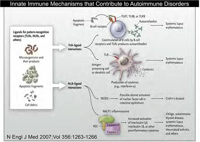autoimmunity el paso tx.