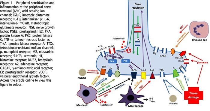 biochemistry of pain el paso tx.