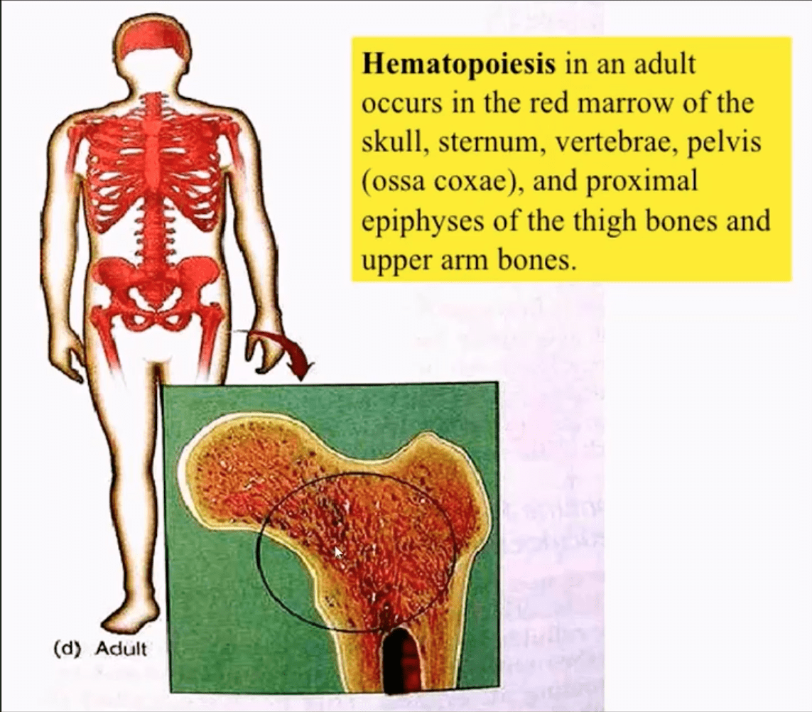 neoplasie spinali diagnostica per immagini el paso tx.