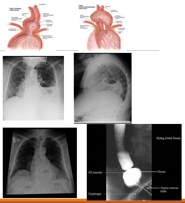 abdomen diagnostic imaging el paso tx.