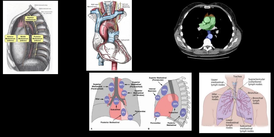 chest diagnostic imaging el paso tx.