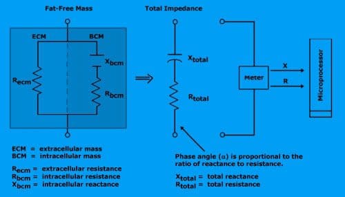 bioimpedance analysis el paso tx.