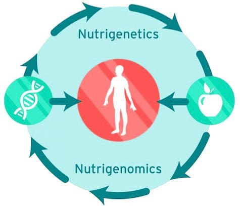 ijẹẹmu Genomics el paso tx.