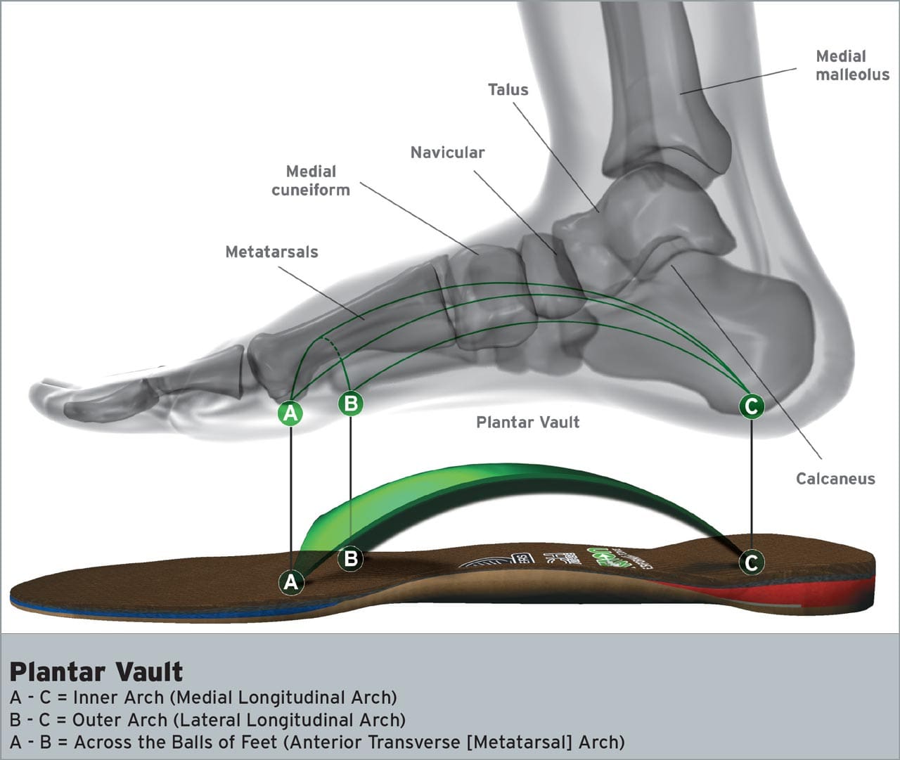 11860 Vista del Sol Ste. 128 La forma incorrecta de tratar la fascitis plantar El Paso, TX.