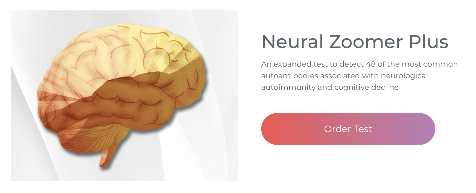 Neural Zoomer Plus | El Paso, TX Quiropráctico