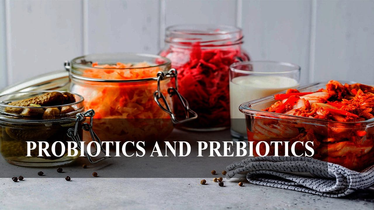 Fungsi Probiotik Dan Prebiotik Menakjubkan Untuk Tubuh 