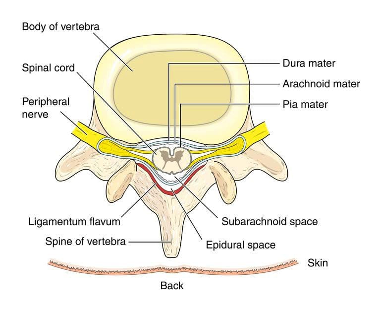 11860 Vista Del Sol, Ste. 128 Spinal Injection or Nerve Block For Neck and Back Pain