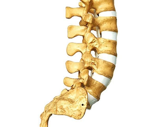 11860 Vista Del Sol, Ste. 128 The Lumbosacral Joint and Possible Cause For Sciatic Nerve Pain