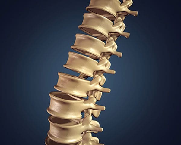 11860 Vista Del Sol, Ste. 128 Disc Pain and Nerve Root Pain Understanding Spinal Disc Problems