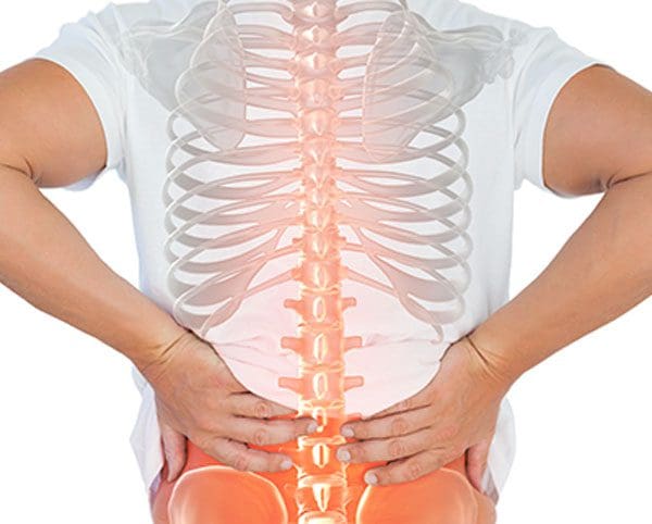 11860 Vista Del Sol, Ste. 128 Young Adult Degenerative Disc Disorder and Optimal Spine Health