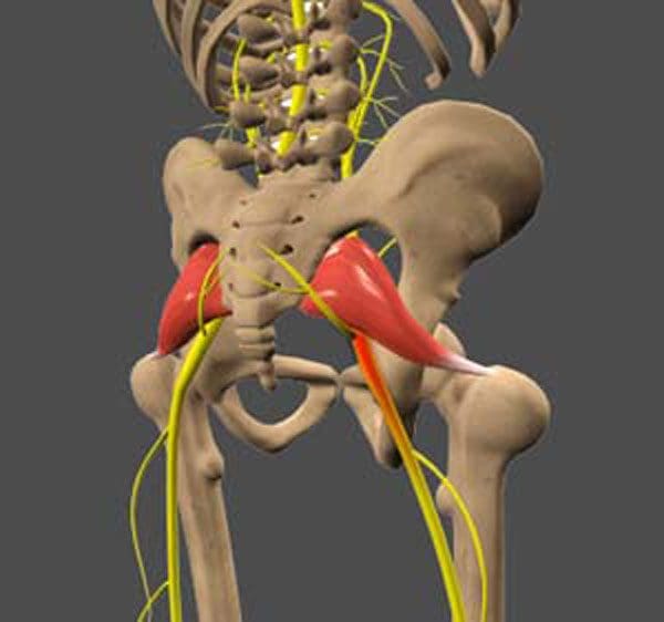 11860 Vista Del Sol, Ste. 128 The Lumbosacral Joint and Possible Cause For Sciatic Nerve Pain
