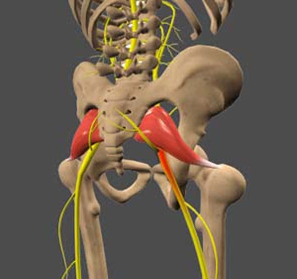 11860 Vista Del Sol, Ste. 128 Пояснично-крестцовый сустав и возможная причина боли в седалищном нерве