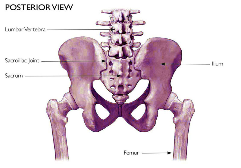 11860 Vista Del Sol, Ste. 128 Faʻafitauli mo Faʻafitauli tau uila afi, Manuʻa, ma Togafitiga o Chiropractic