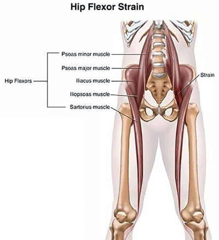 11860 Vista Del Sol, Ste. 128 Tight Hip Flexors and How To Release